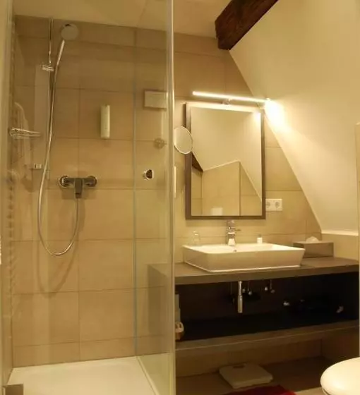 スタンダードシングルルーム, Metzgerei Gasthof Romantik Hotel Der Millipp