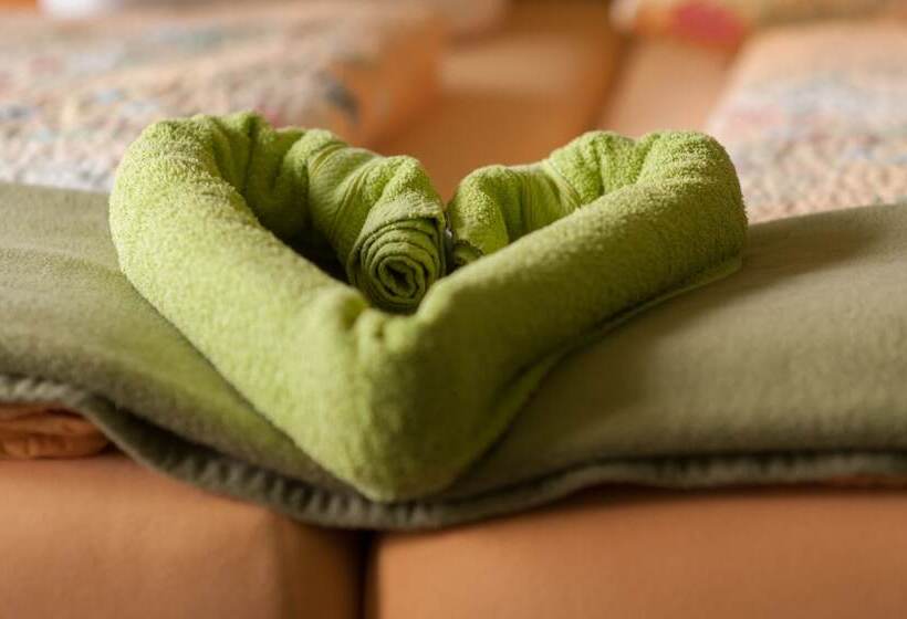 豪华房间, Park Hotel Leimen