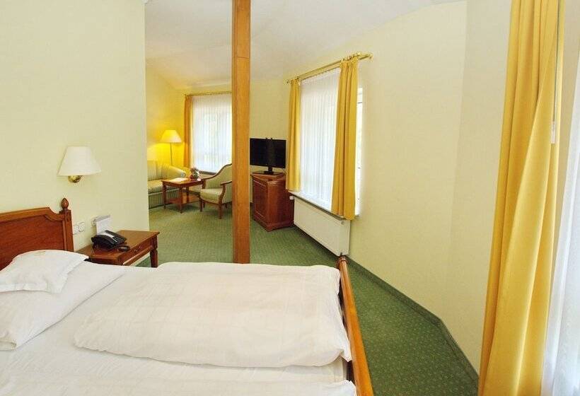 Номер Комфорт, Parkhotel Am Taunus