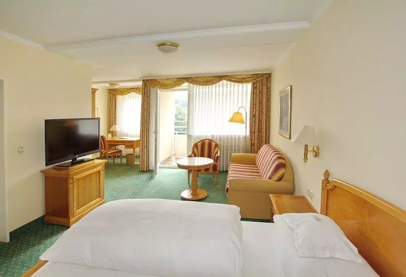 コンフォートルーム, Parkhotel Am Taunus