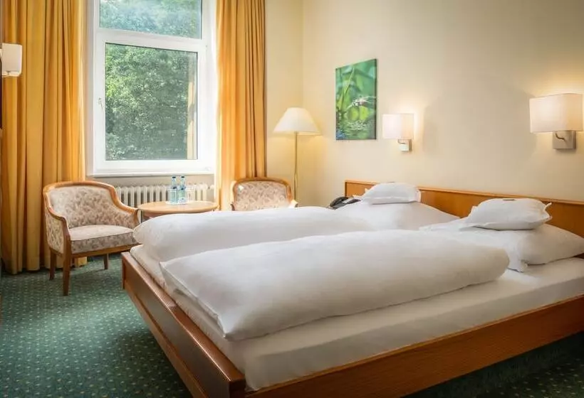 スタンダードルーム, Parkhotel Am Taunus
