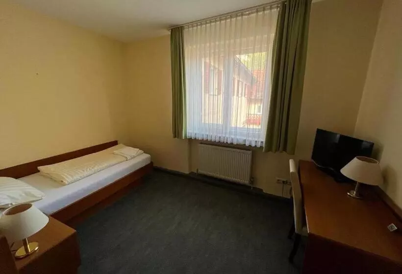 اتاق استاندارد یک نفره, Gasthof Postbräu Dingolfing