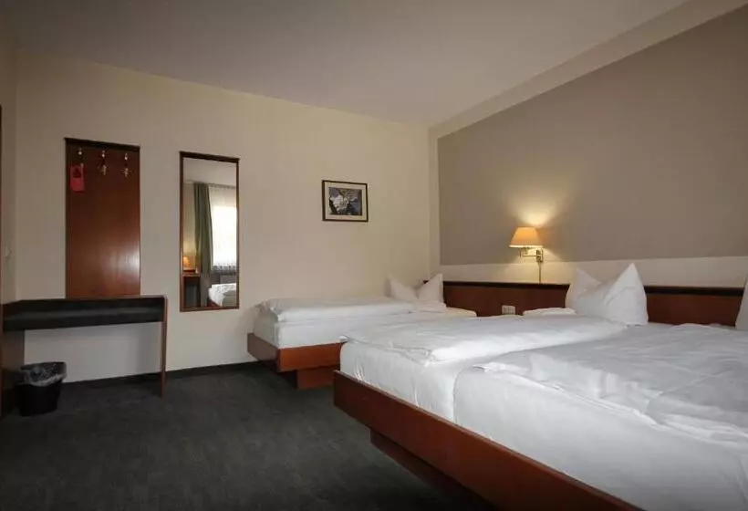 اتاق استاندارد سه نفره, Gasthof Postbräu Dingolfing