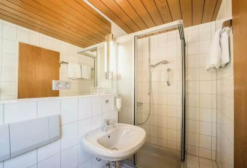 Standard-huone, Landgasthof Adler