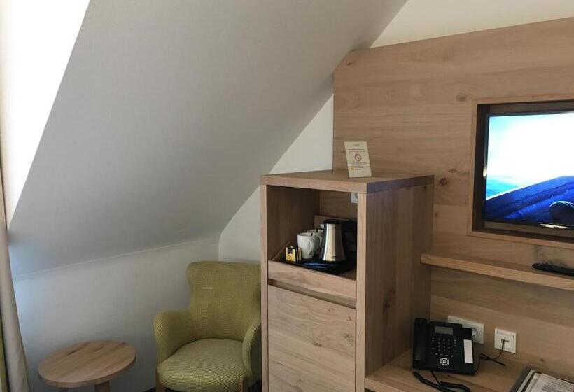 غرفة قياسية فردية, Villa Benz Hotel Garni