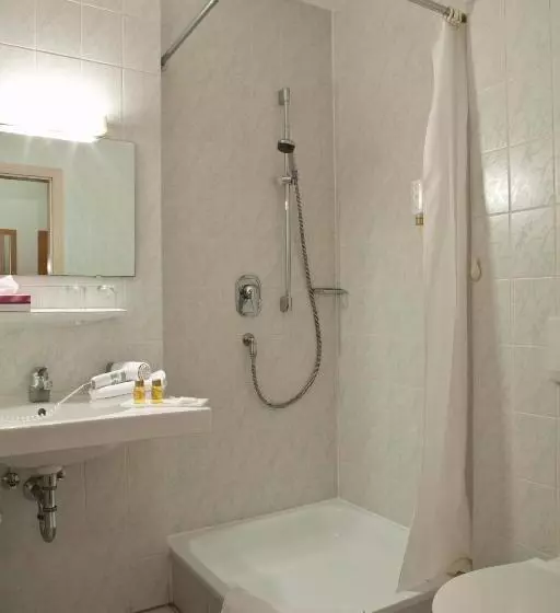 Standard Yhden Hengen Huone, Airport Hotel Stetten