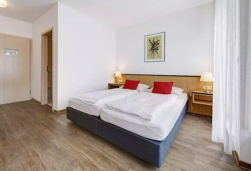 Standard Yhden Hengen Huone, Airport Hotel Stetten