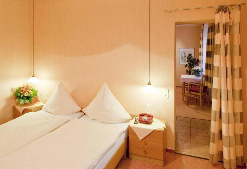 اتاق استاندارد یک نفره, Birkenstern