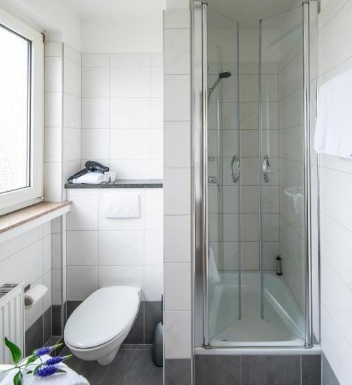 اتاق استاندارد, Birkenstern