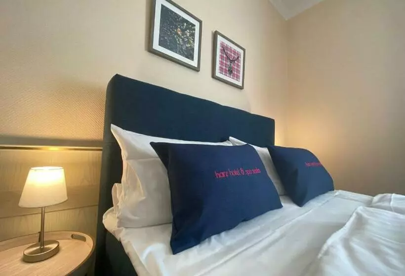 エコノミールーム, Harz Hotel & Spa Seela