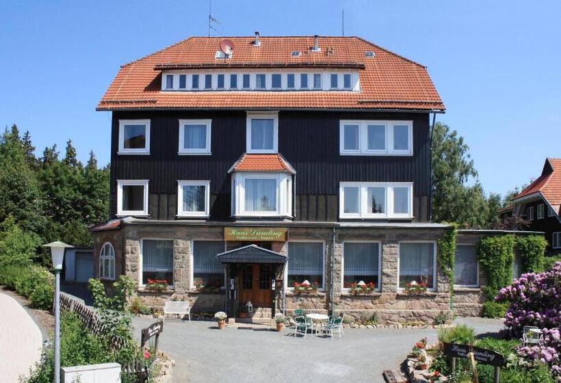 Номер Стандарт Индивидуальный, Haus Dümling