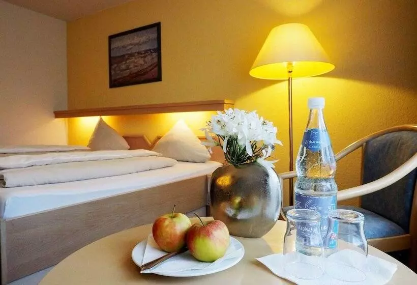 اتاق استاندارد یک نفره, Kurhotel Panland