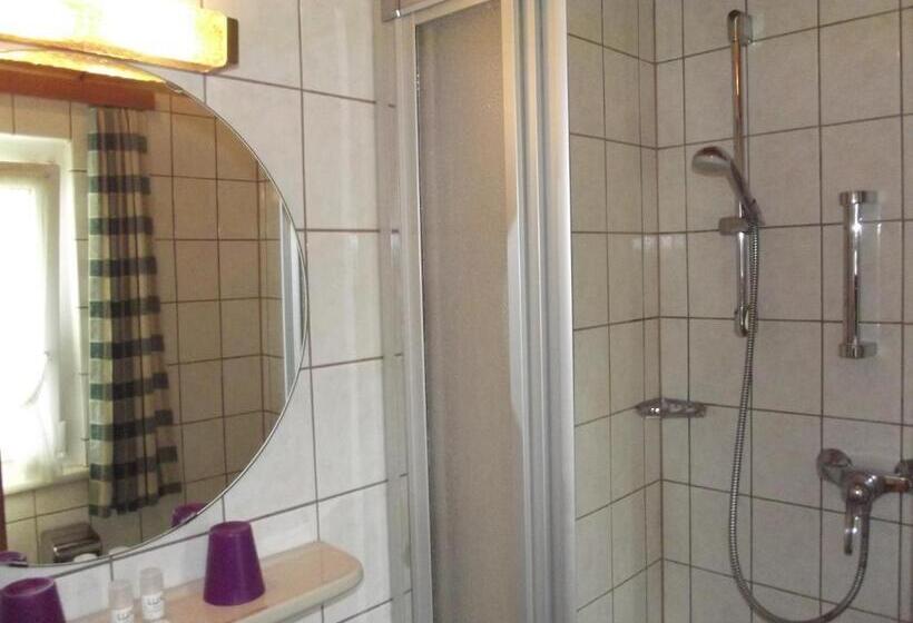 Standart Tek Kişilik Oda, Pension Bergseeblick