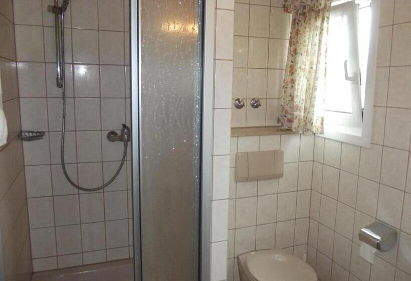 Balkonlu Standart Oda, Pension Bergseeblick