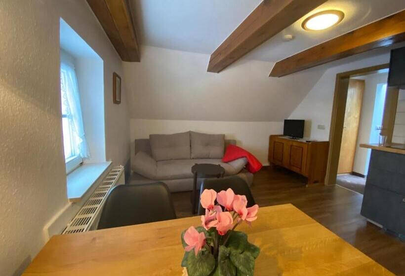 带1个卧室带观景的公寓, Rotgiesserhaus