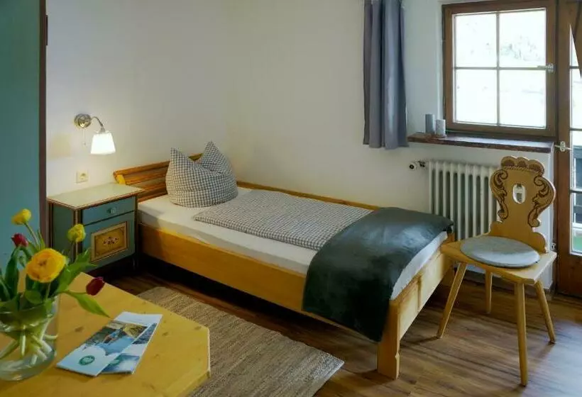 Standard Yhden Hengen Huone, Schliersberg Alm