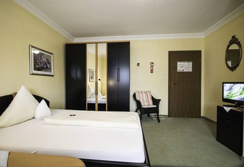 标准单人间, Schneider