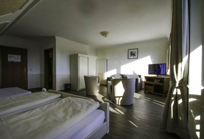 标准三人间, Schneider