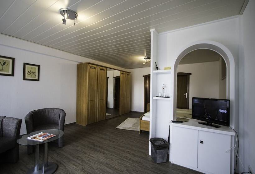 标准间, Schneider