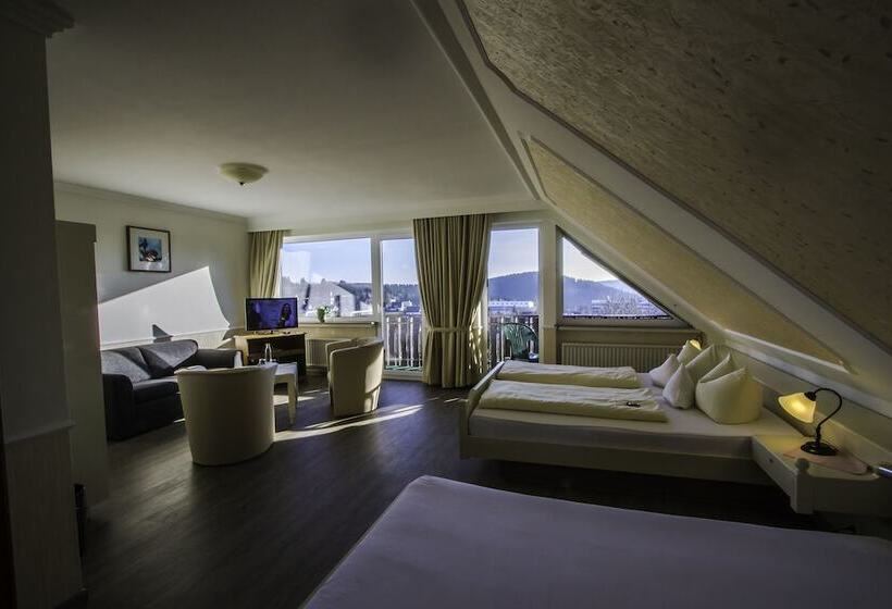 标准间, Schneider