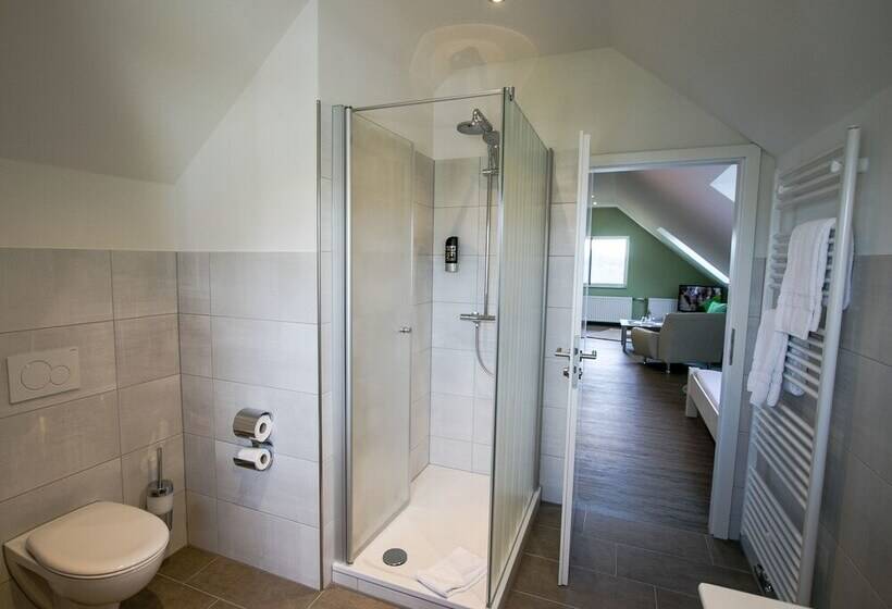 标准间, Schneider