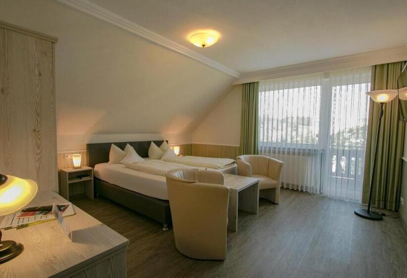 标准间, Schneider