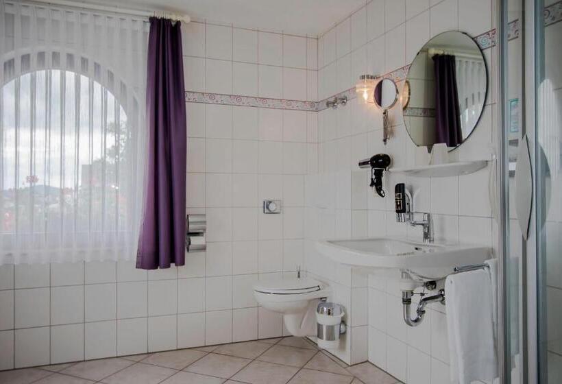 标准三人间, Schneider