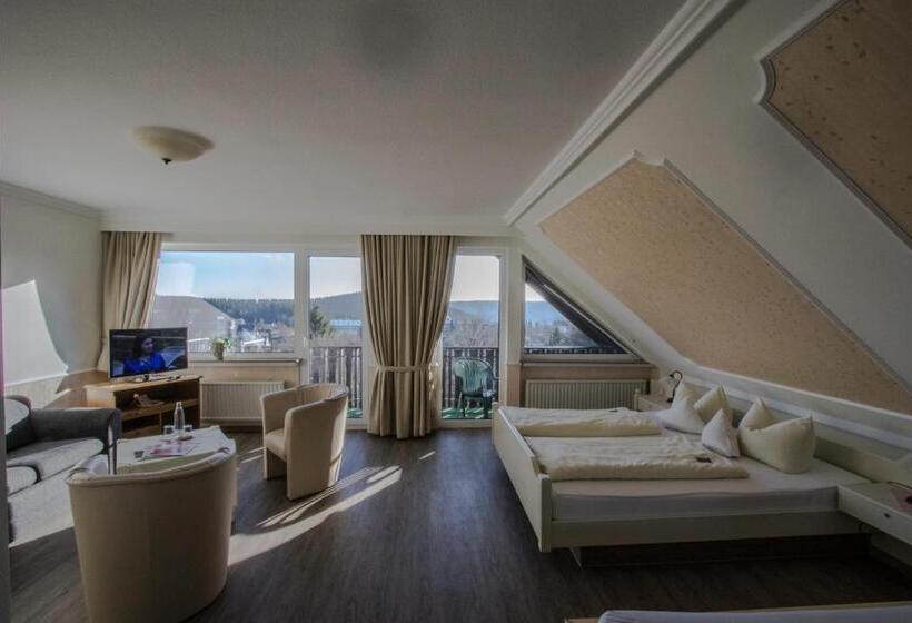 标准三人间, Schneider