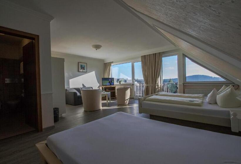 标准三人间, Schneider