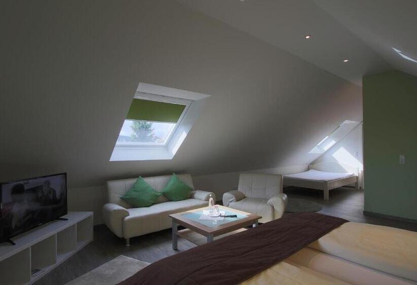 高级大房间, Schneider