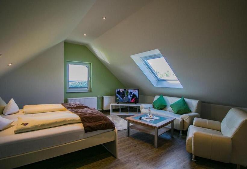 高级大房间, Schneider