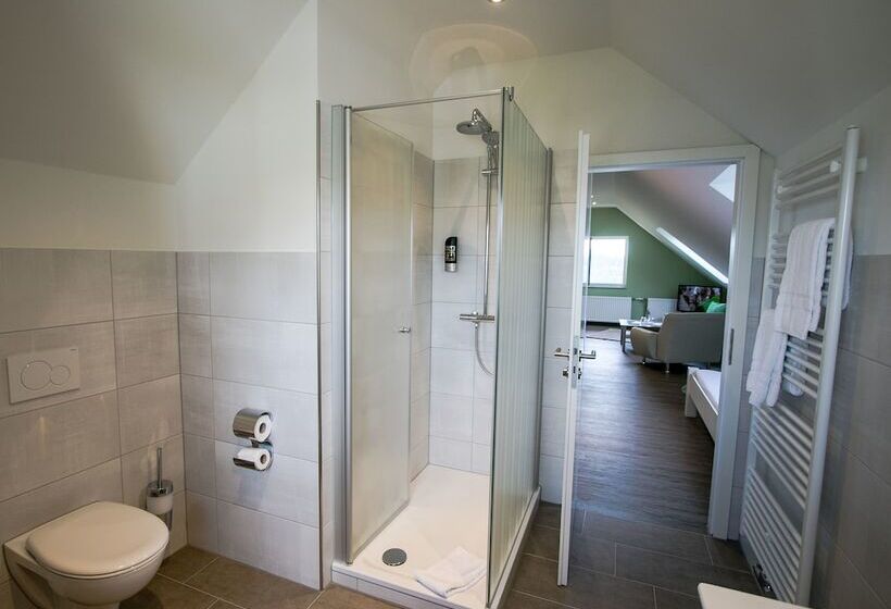 标准间, Schneider