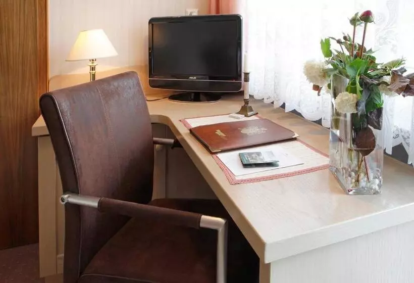 Standard Single Room, Waldblick Kniebis