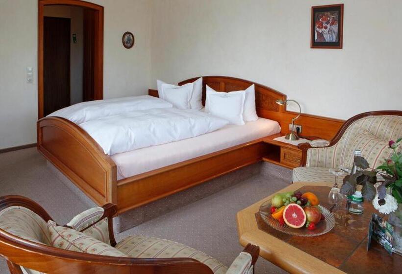 Standard Room, Waldblick Kniebis