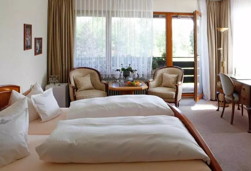 Standard Room, Waldblick Kniebis