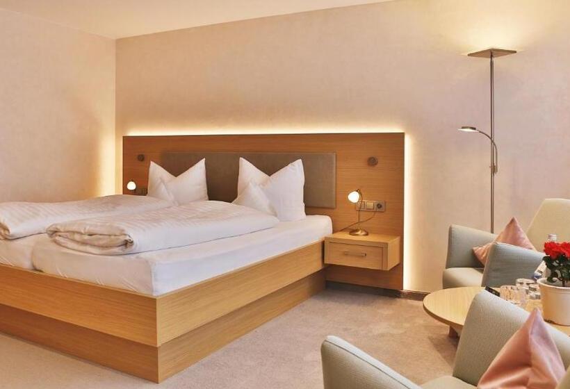 Standard Room, Waldblick Kniebis