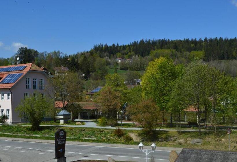 Номер Стандарт Индивидуальный, Wander  Und Aktivhotel Adam Bräu