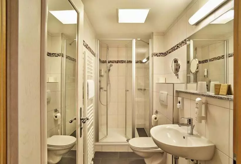 اتاق استاندارد یک نفره, Wander  Und Aktivhotel Adam Bräu