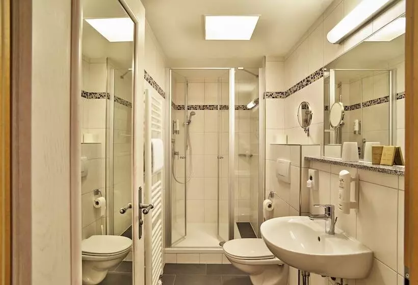 اتاق استاندارد یک نفره, Wander  Und Aktivhotel Adam Bräu