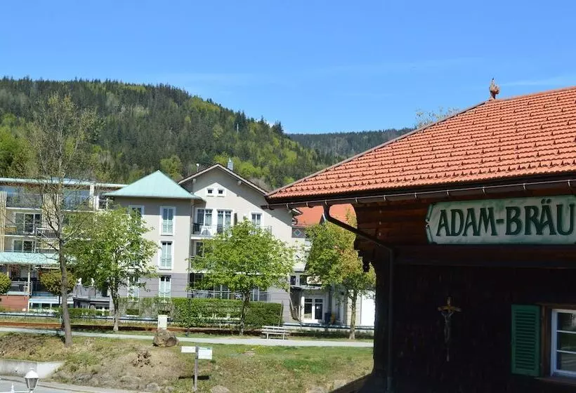 اتاق استاندارد یک نفره, Wander  Und Aktivhotel Adam Bräu