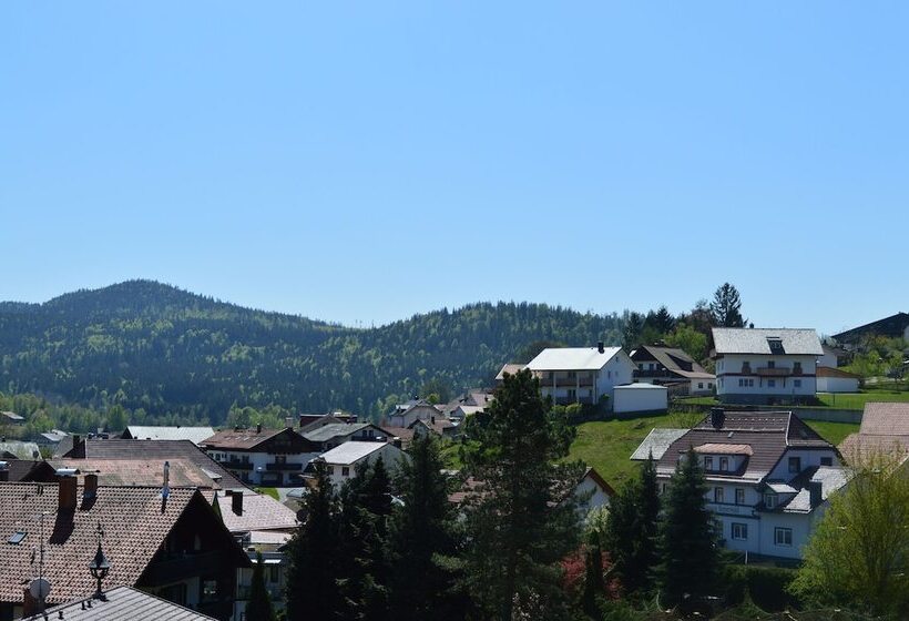 Номер Стандарт, Wander  Und Aktivhotel Adam Bräu