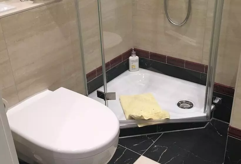 Comfort Yhden Hengen Huone, Mokni S Palais Hotel & Spa