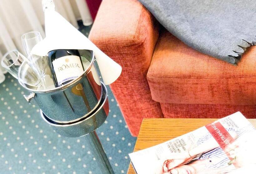 Номер Стандарт Трехместный, Panorama Hotel Rheinkrone