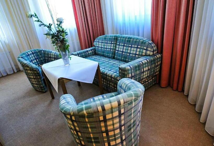 Номер Стандарт Трехместный, Panorama Hotel Rheinkrone