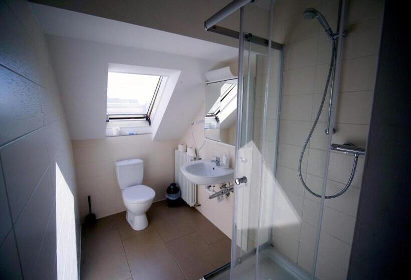 شقة غرفة واحدة, Gastehaus Parkblick