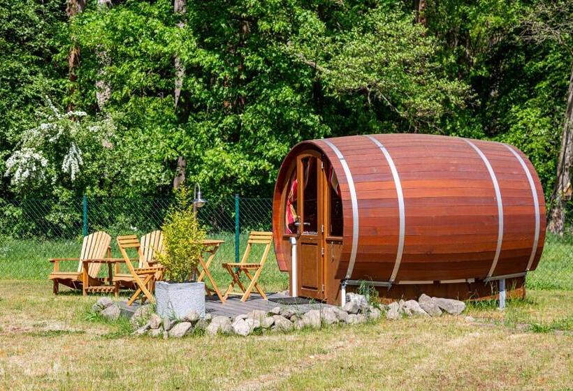 스탠다드 룸, Sporthotel Wernigerode