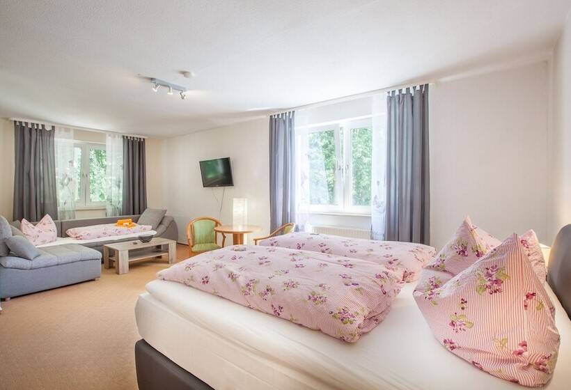 Номер Стандарт Трехместный, Sporthotel Wernigerode
