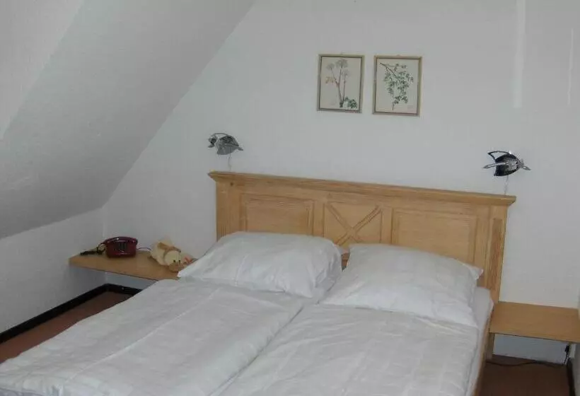 スタンダードルーム, Ferien  Und Reitsport Hotel Brunnenhof