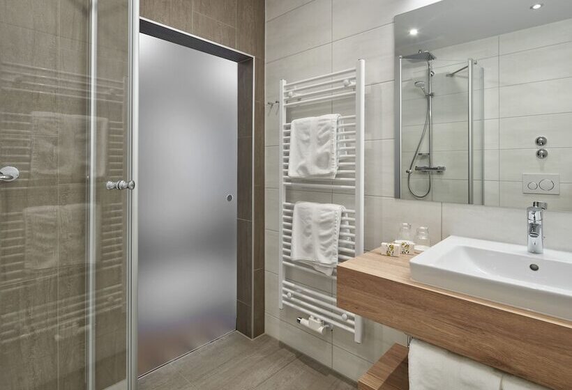 シングルデラックスルーム, Alpenhof