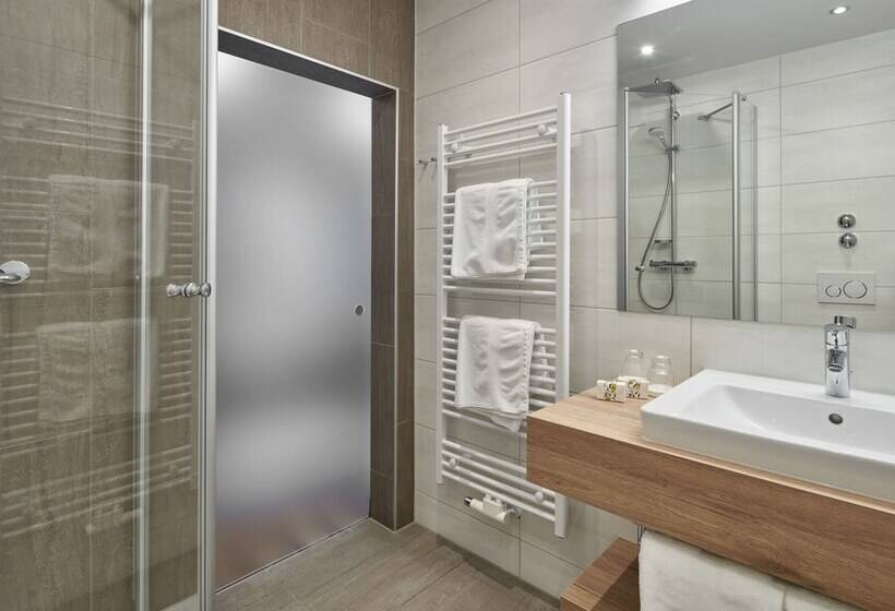 スタンダードシングルルーム, Alpenhof